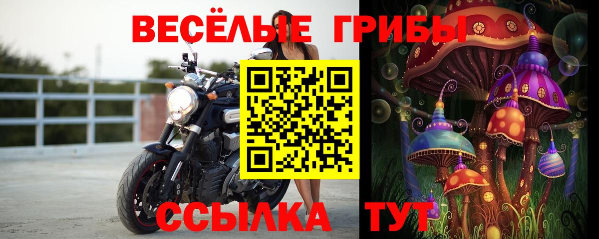 Галлюциногенные грибы Psilocybe  Псилоцибиновые грибы мицелий  Вход с VPN  Новодвинск 