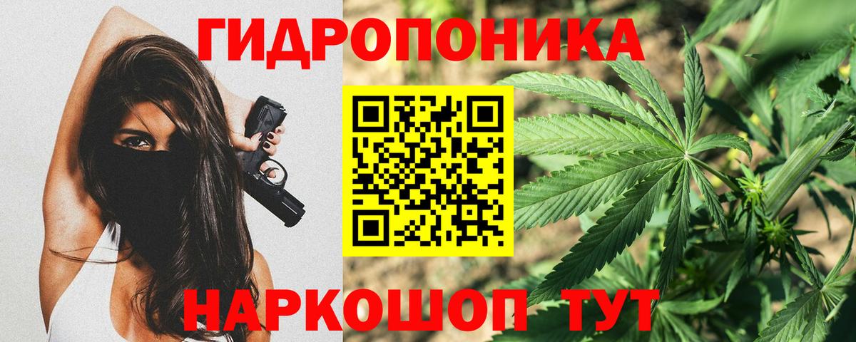 Бошки Шишки SATIVA & INDICA Новодвинск