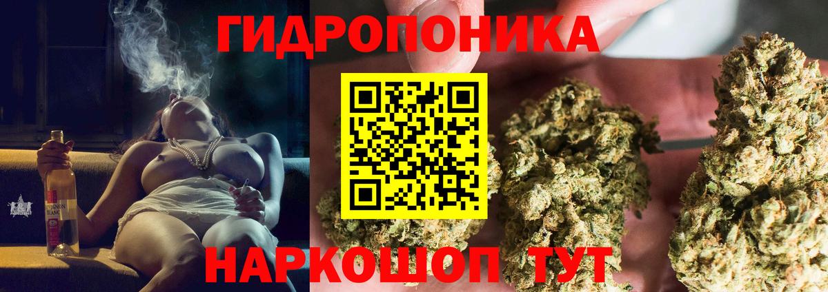 Бошки марихуана сатива  Конопля ГИДРОПОН  Вход с VPN  Новодвинск  Бошки марихуана MAZAR  Марихуана SATIVA & INDICA 